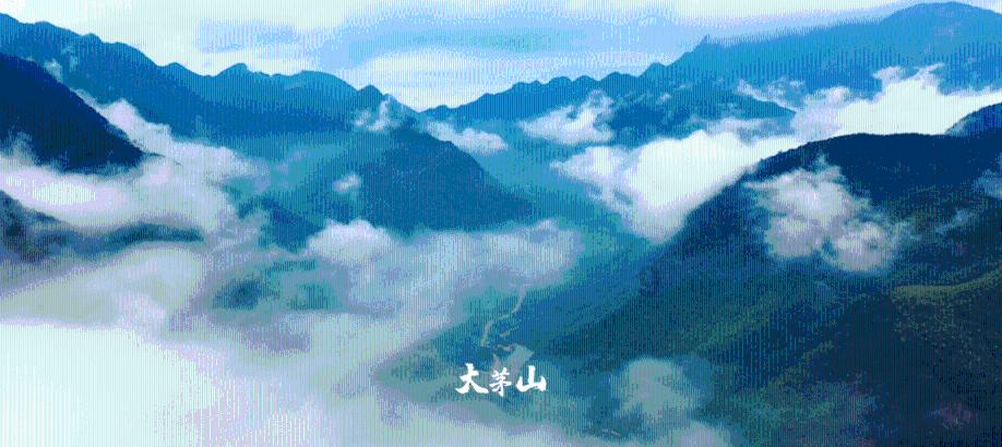 他25岁开始女装,秘密帮国王10年,后公开变性成世界第一神秘女特工