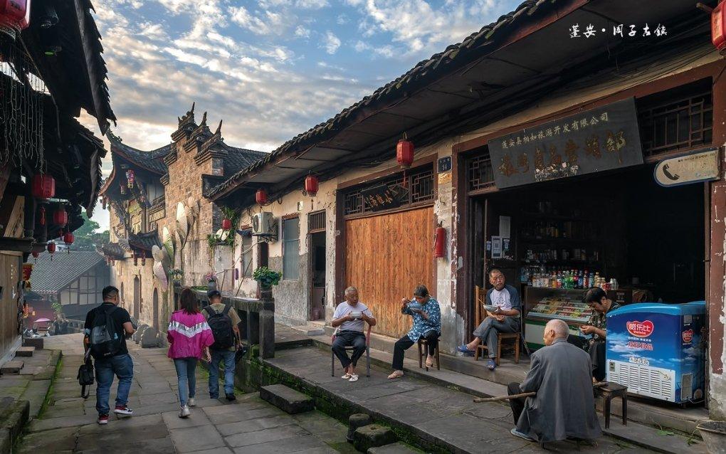 饥饿的松鼠救援