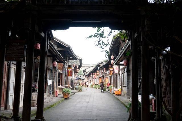 救援小蝙蝠